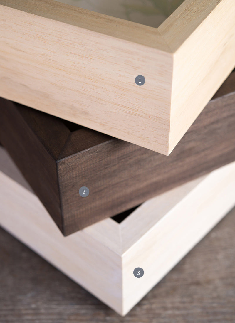 Picture Frame for Passiflora