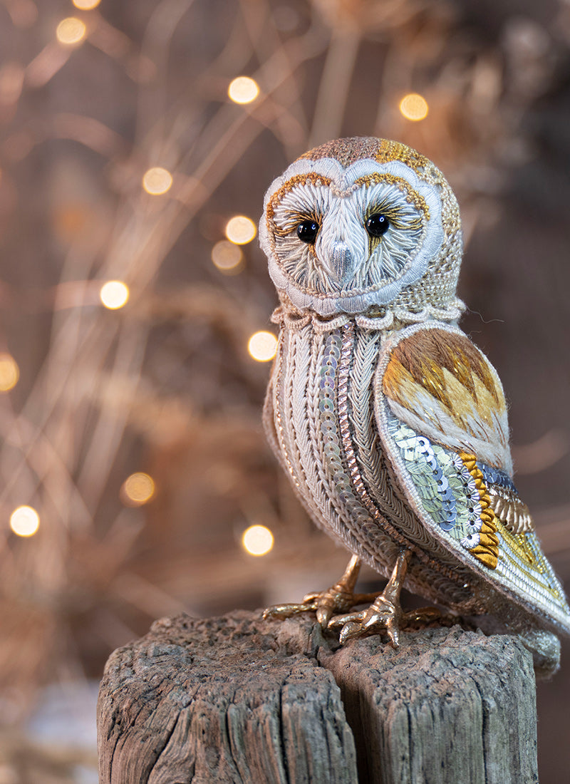 Waitlist for The Parham Owl Étui