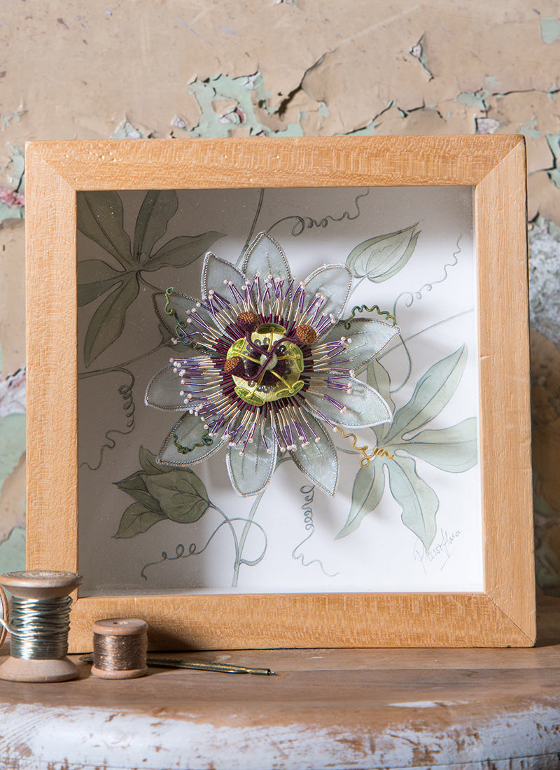 Picture Frame for Passiflora