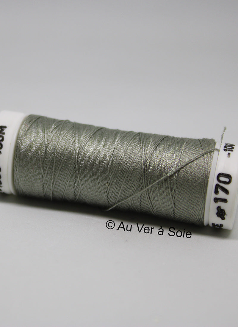 Soie 100/3 Colour 170
