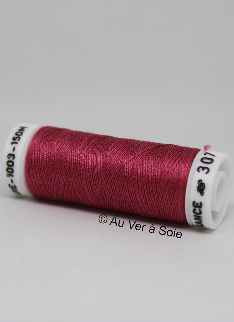 Soie 100/3 Colour 307