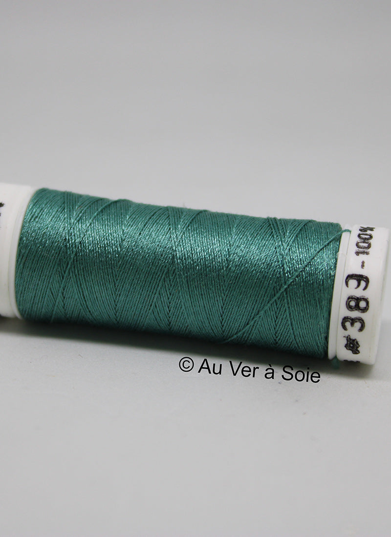 Soie 100/3 Colour 389
