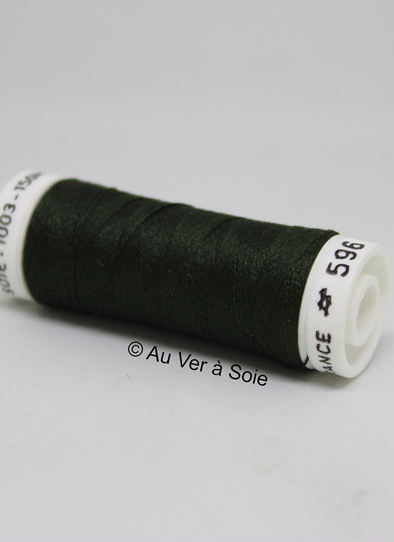 Soie 100/3 Colour 596