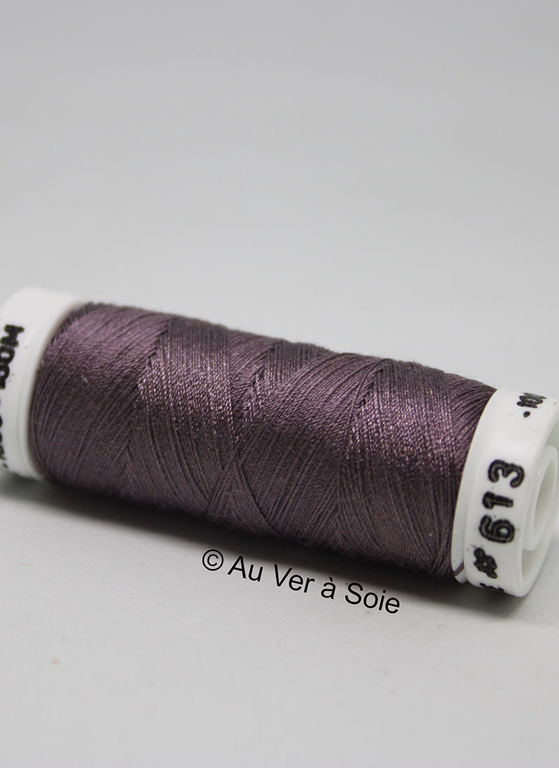 Soie 100/3 Colour 613