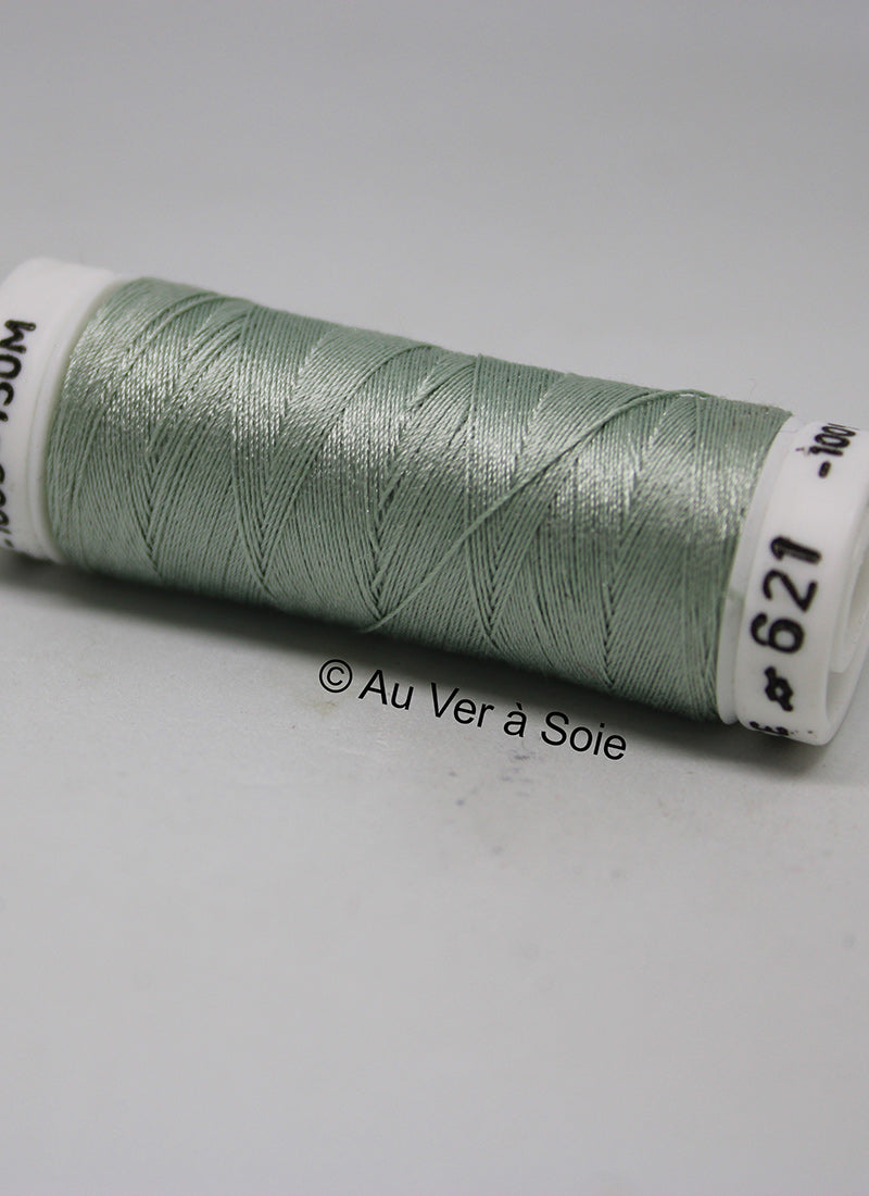 Soie 100/3 Colour 621