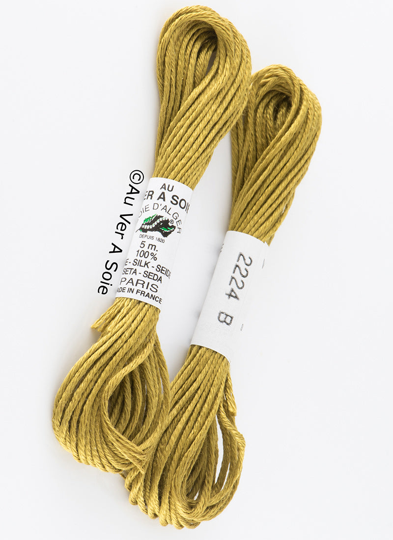 Soie d'Alger 2224
