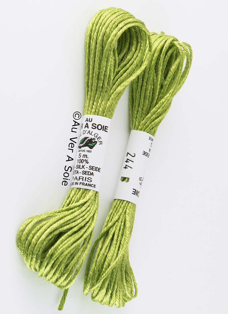 Soie d'Alger 0244