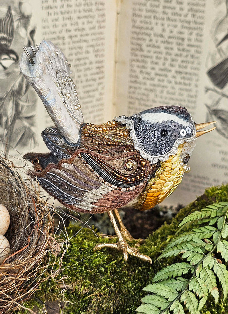 Teaching Video for the Fantail (Piwakawaka) Étui