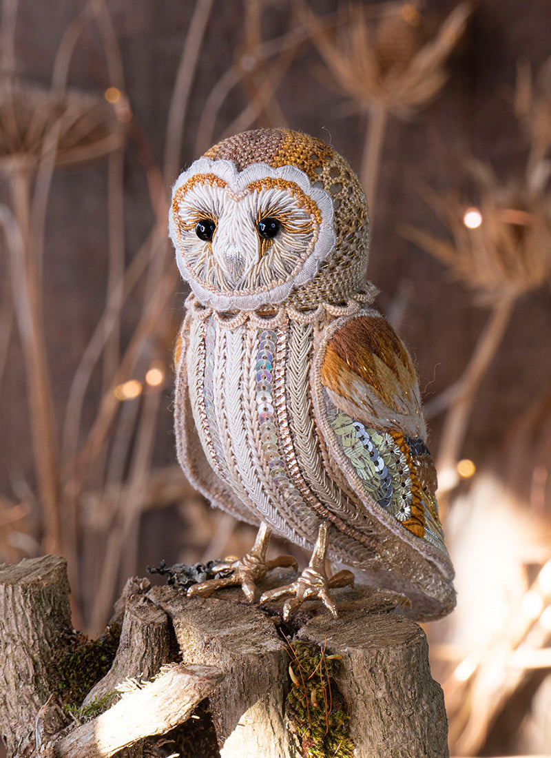 Waitlist for The Parham Owl Étui