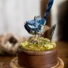 Blue Wren Etui, sat on a mossy hillock