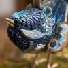 Close up of the Blue Wren Etui's face