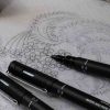 pen