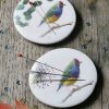 GOULDIAN FINCH
