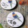 RAINBOW LORIKEET